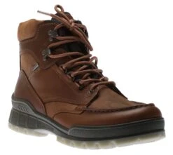 ECCO Men's Track 25 Bison Brown Leather Gore-Tex Boot