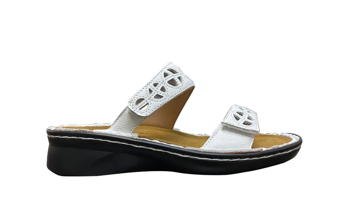 Cornet White 3 Cornet White