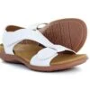 2 Strap Sandal White 1 2 Strap Sandal White -Rockport Store stes402409